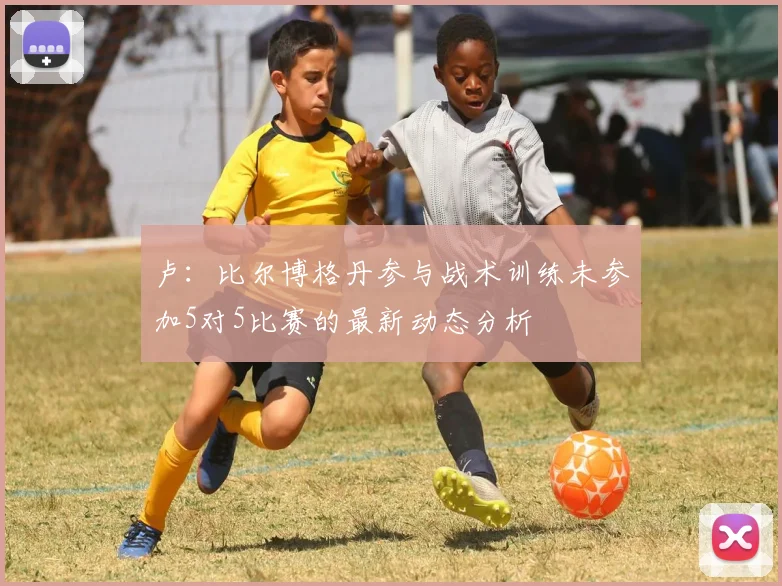 卢：比尔博格丹参与战术训练未参加5对5比赛的最新动态分析